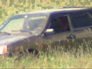 car voyeur video