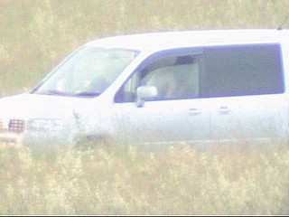 car voyeur video