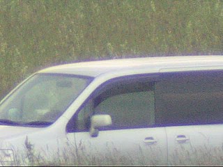 car voyeur video