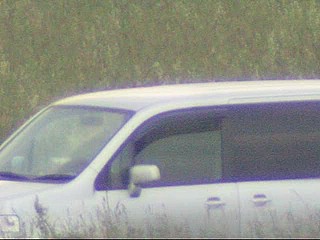 car voyeur video