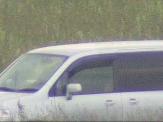 car voyeur video