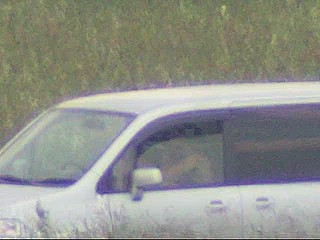 car voyeur video