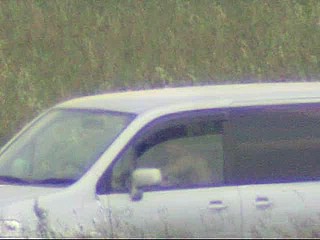 car voyeur video
