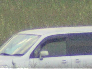car voyeur video