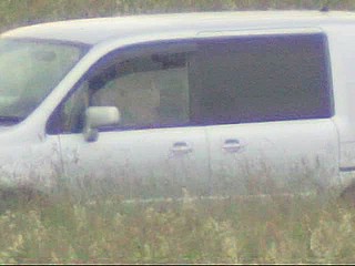 car voyeur video