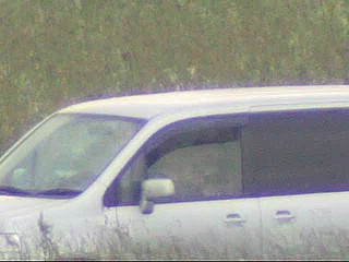 car voyeur video