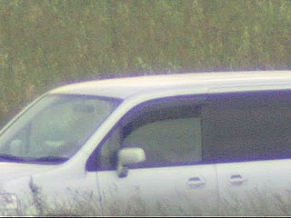 car voyeur video