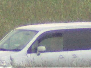 car voyeur video