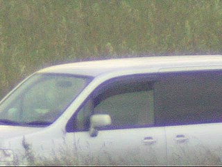 car voyeur video