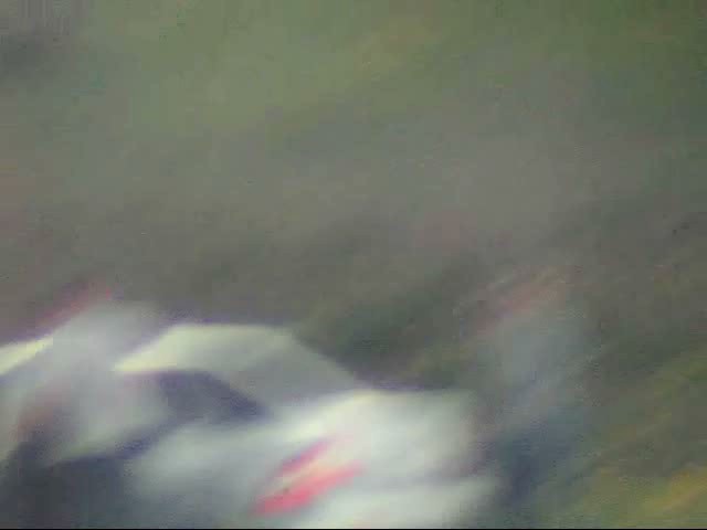 spycam voyeur video